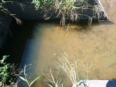 f0082402_20505573.jpg