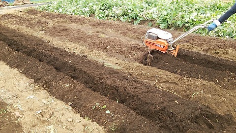 e0270403_13101137.jpg