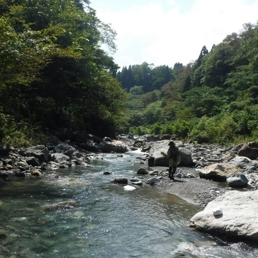 b0172805_10252757.jpg