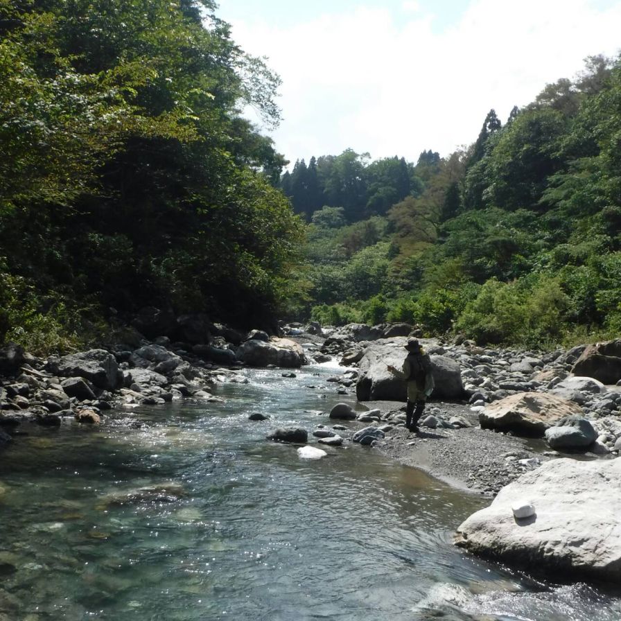 キャンプ・水の碧い渓で２日間釣りをする_b0172805_10252757.jpg