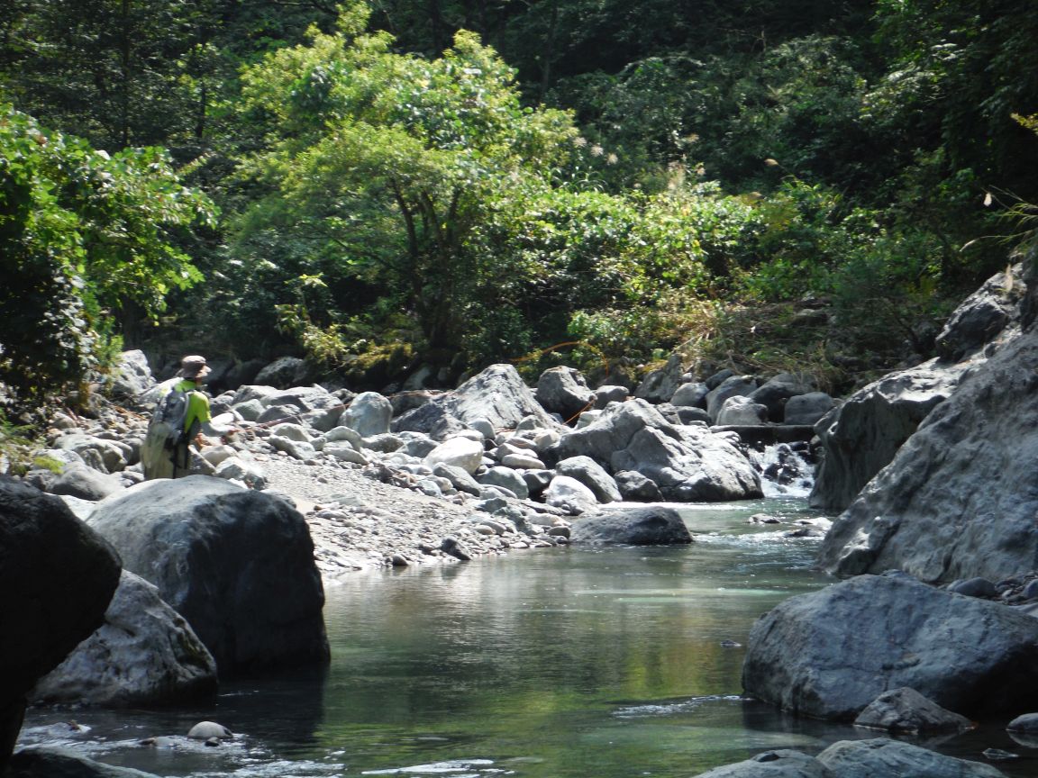 b0172805_10261044.jpg