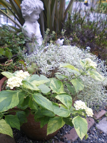 f0206605_209581.jpg