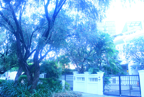 f0370305_21521004.jpg