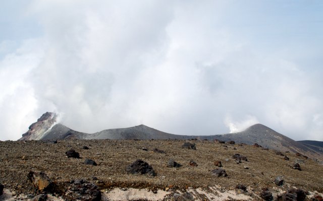 a0345007_9131846.jpg