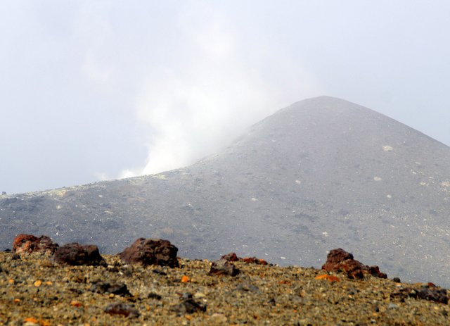 a0345007_91454.jpg