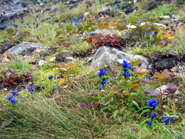 a0345007_922934.jpg