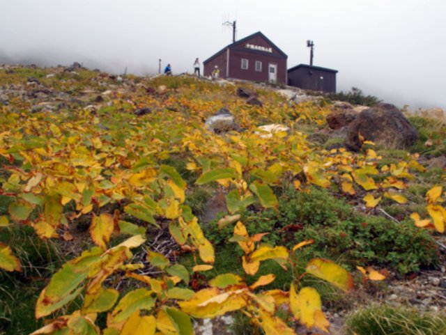 a0345007_923686.jpg