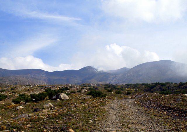 a0345007_9242976.jpg