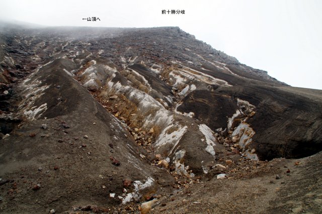 a0345007_935385.jpg