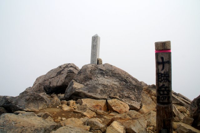 a0345007_99555.jpg