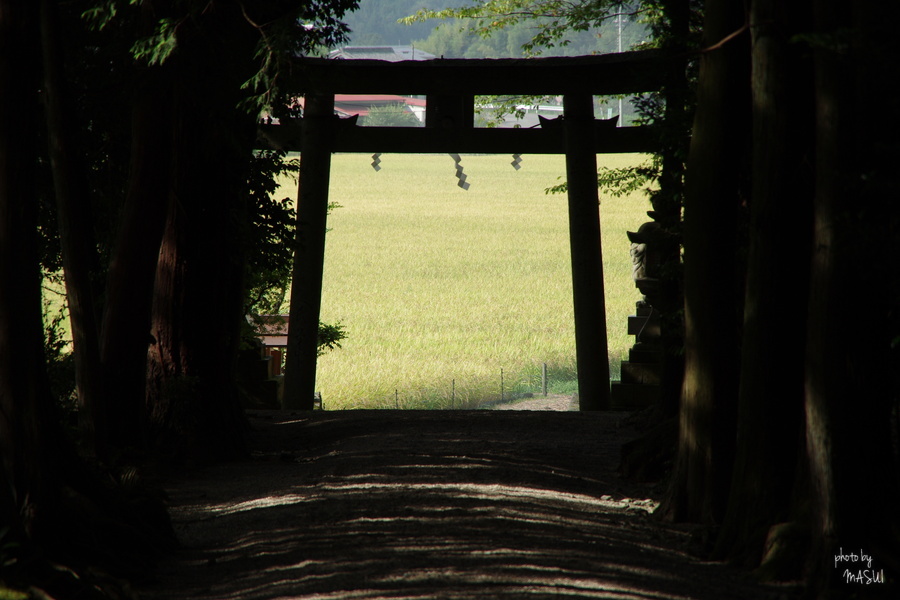 奈良市都祁小山戸町　森神さんと都祁山口神社_d0342307_22334397.jpg