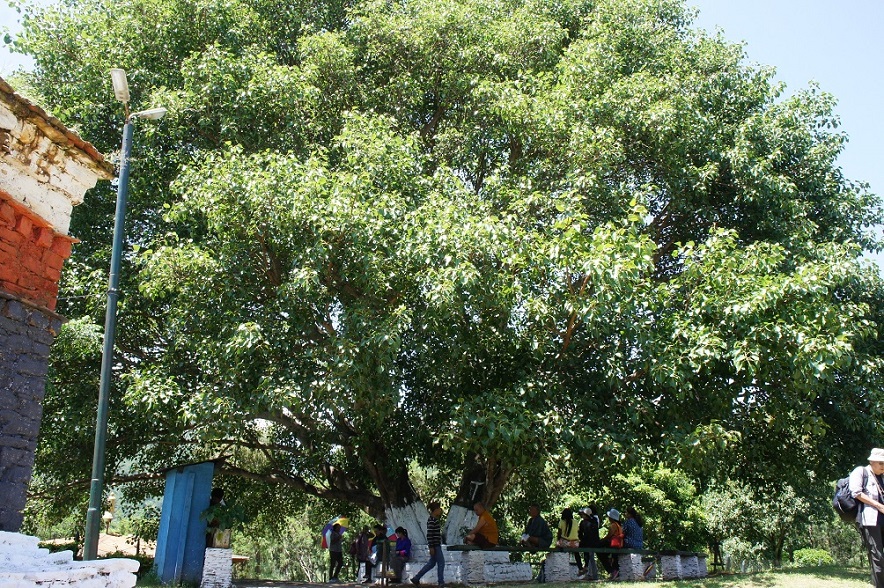 b0112909_095421.jpg