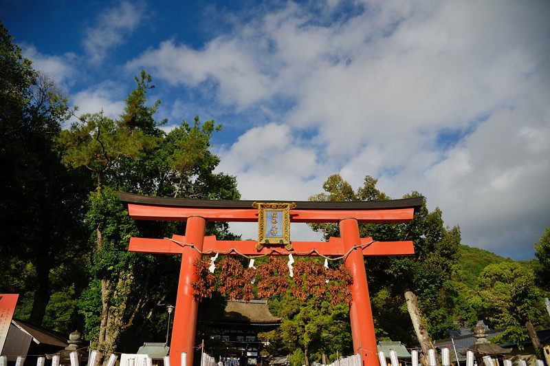 八朔祭@松尾大社 女神輿_f0032011_19412540.jpg