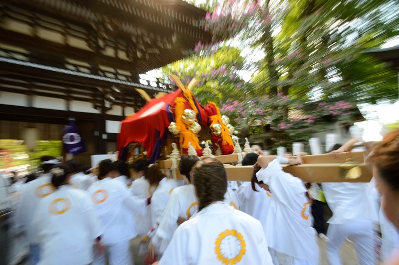 八朔祭@松尾大社 女神輿_f0032011_1949539.jpg