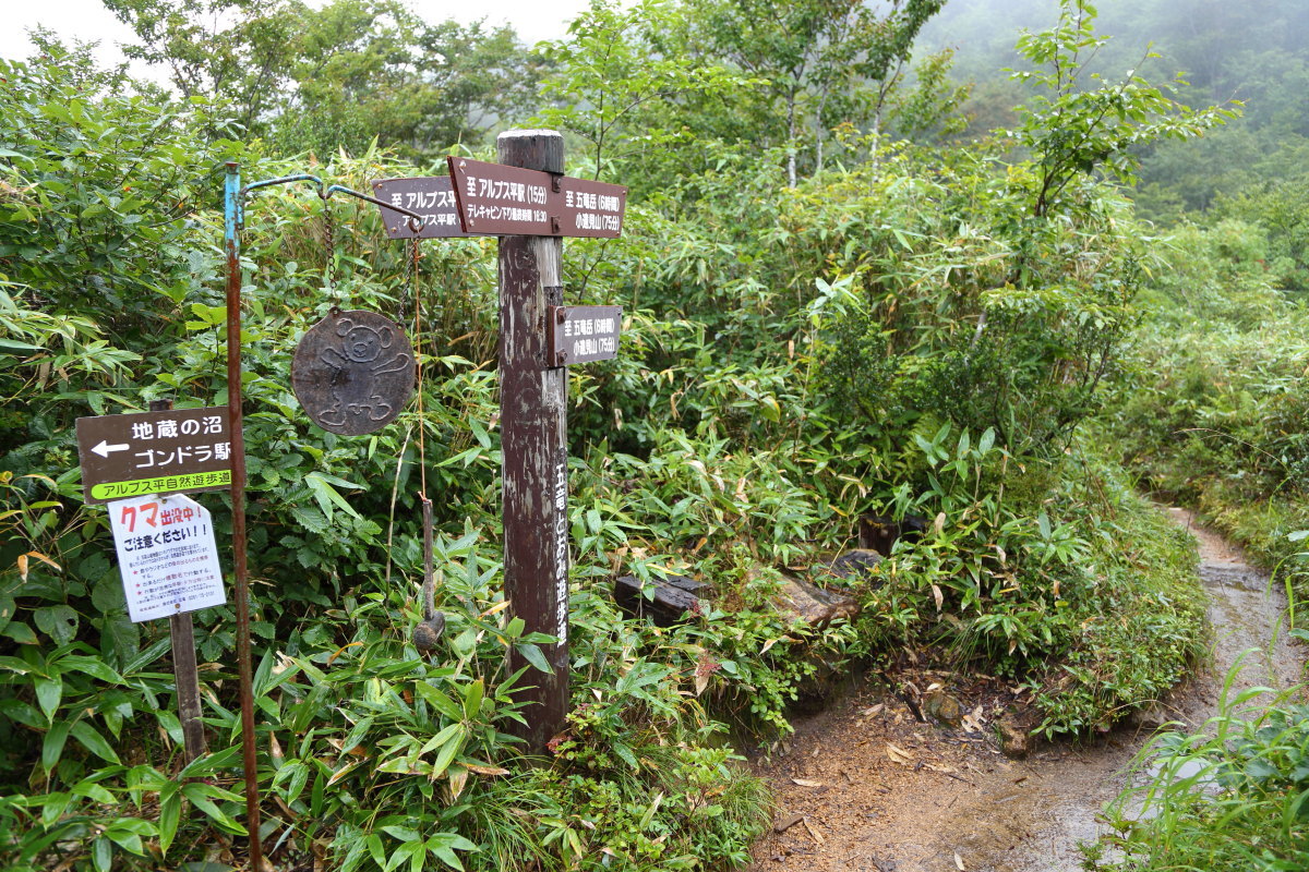 五龍岳日帰りピストンはつらいよ（１）_f0157812_12010012.jpg