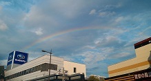 a0177314_17234332.jpg