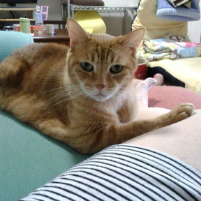 c0145016_0404317.jpg