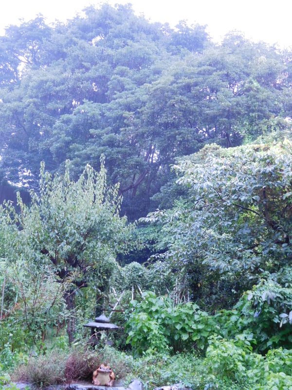 a0125419_07400414.jpg