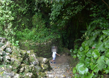b0121019_21282857.png