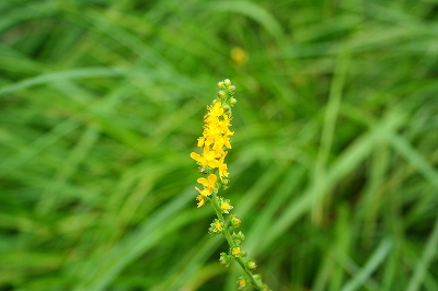 f0193521_2051710.jpg