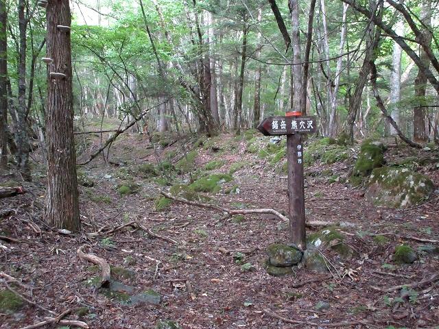 南アルプス　鋸岳の真髄を知る直登ルート角兵衛沢から熊穴沢（後編）　　   　  Nokogiri in Minami Alps_f0308721_21342055.jpg