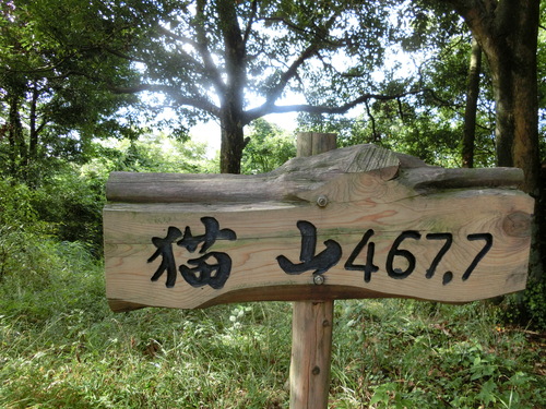 a0243325_818767.jpg