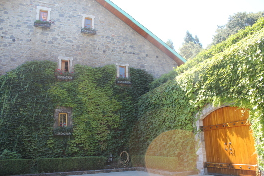 Far Niente カリフォルニアワイン合宿④_c0141025_20351322.jpg