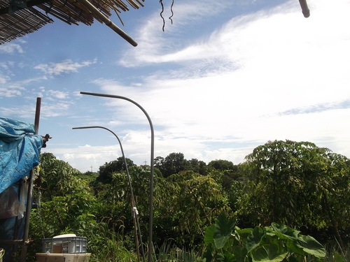 b0137932_16513735.jpg