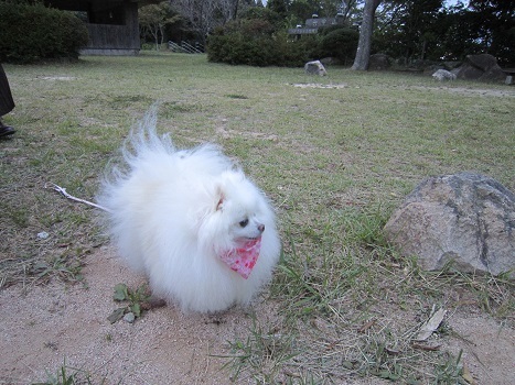 暑くても秋ですね_b0177436_22304133.jpg