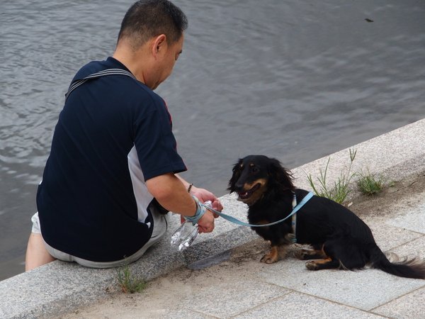 広島平和記念公園いろいろ_b0190540_1656470.jpg