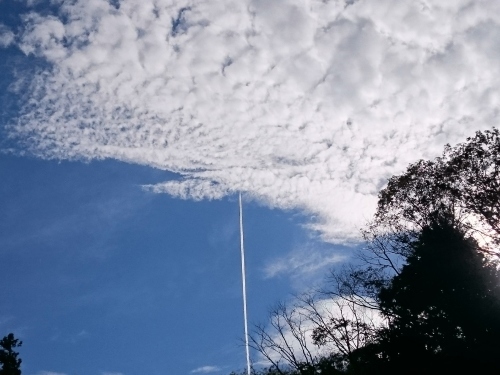 e0145441_20410105.jpg