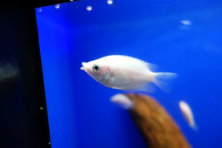 サンシャイン水族館_b0122645_23483896.jpg
