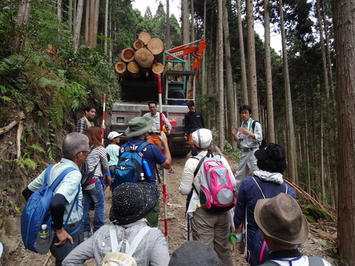 第15回『ふるさと岡山の森を訪ねる旅』_b0211845_12494723.jpg