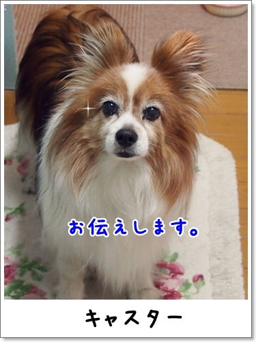 d0013149_23562034.jpg