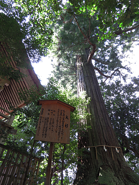f0214649_23374.jpg