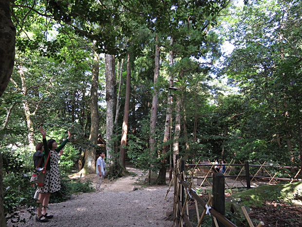f0214649_26670.jpg