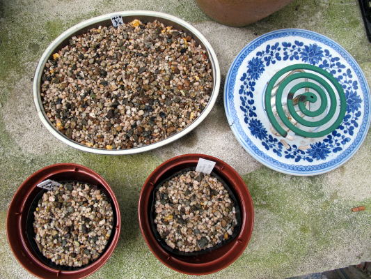 c0147952_2025784.jpg