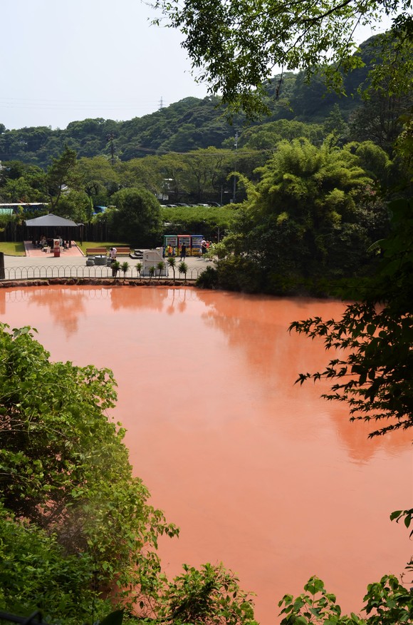 五日目。別府前編。貸し切りタクシーで地獄めぐり。:2016年ダイヤモンドプリンセス乗船記5_f0054556_23413066.jpg