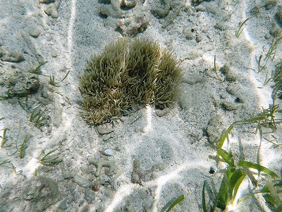 c0180460_15542012.jpg