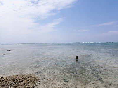 c0180460_15543529.jpg