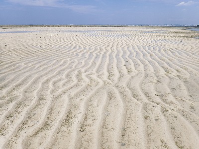 c0180460_15551637.jpg