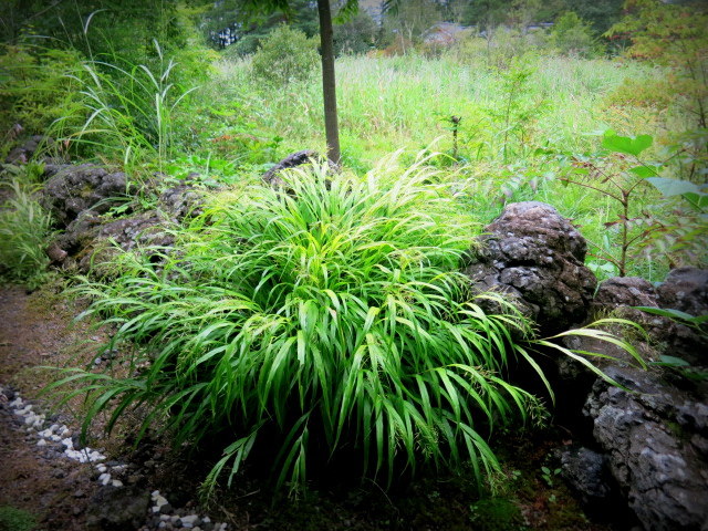 f0236260_23450223.jpg