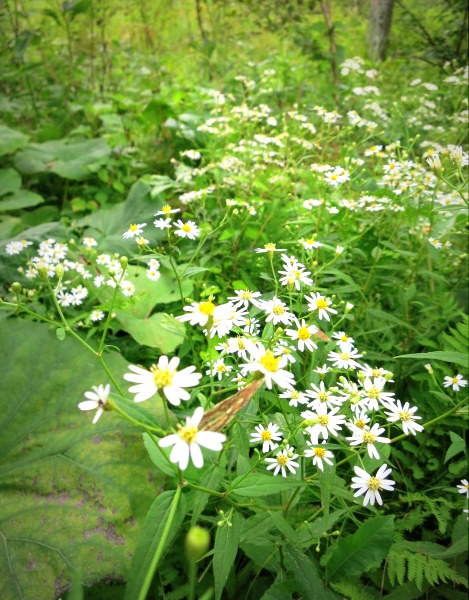 f0236260_23481029.jpg