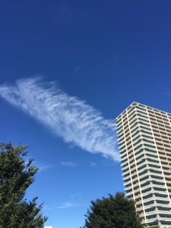 c0008664_2316444.jpg