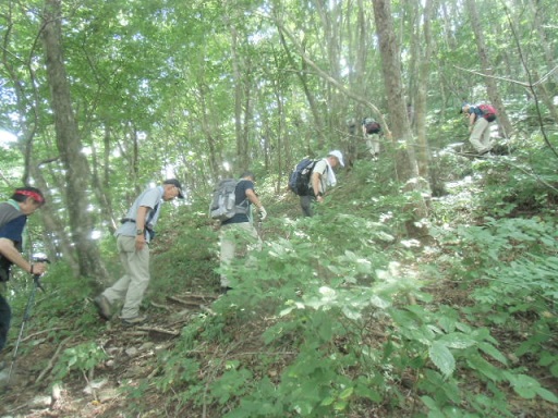 c0273271_10424752.jpg
