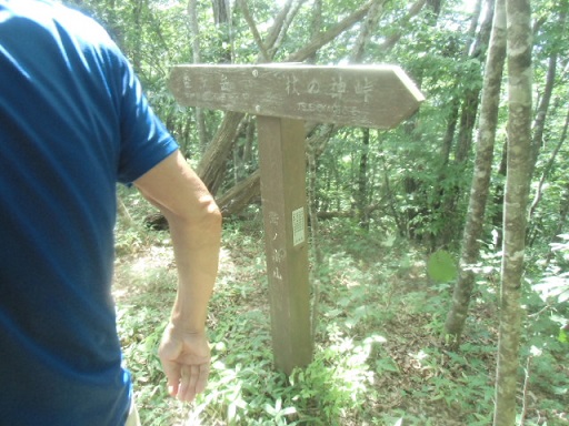c0273271_1043767.jpg
