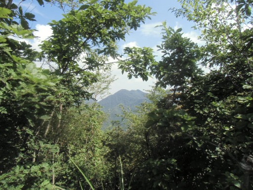 c0273271_1045233.jpg