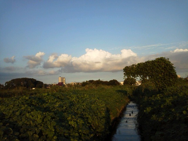 b0155973_07570161.jpg