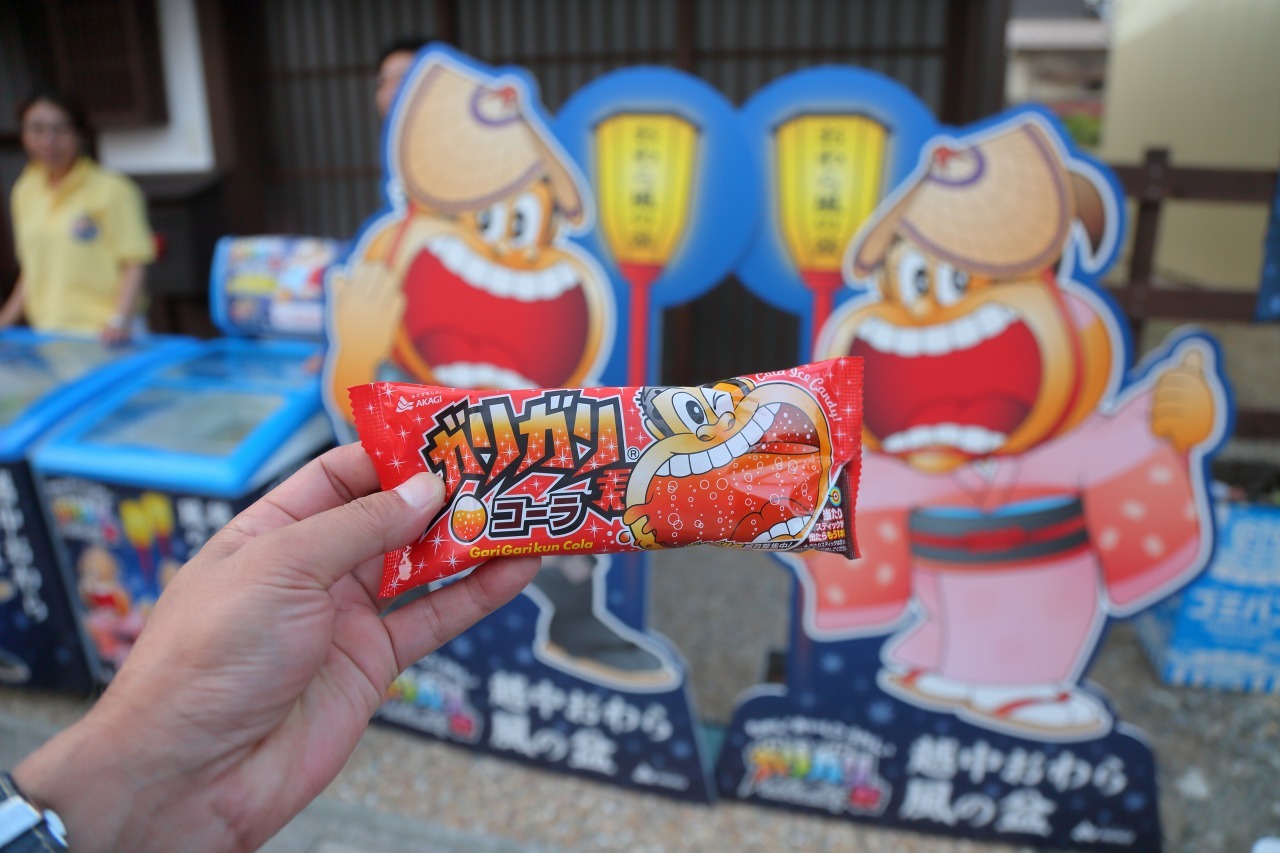 おわら風の盆 2016_c0196076_05085678.jpg