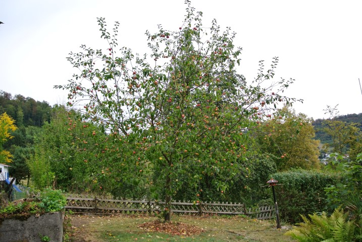 d0116376_012876.jpg